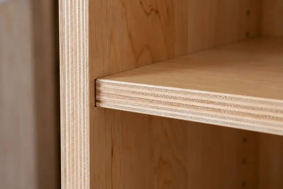 Cabinet box corner showing a shelf captured in a dado joint with plywood plies